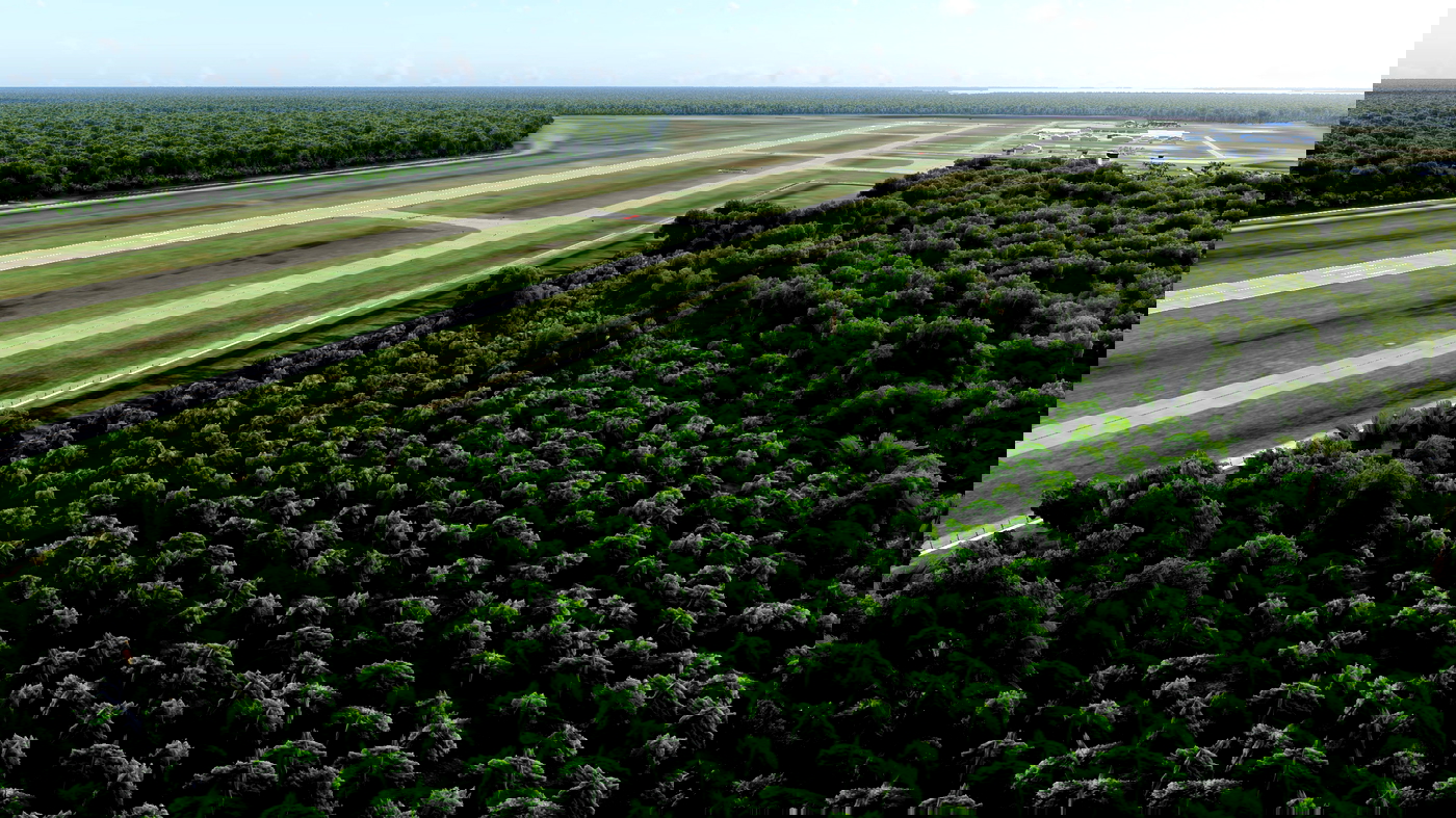 KECP Panama City/Northwest Florida Beaches Intl » XPlane 12
