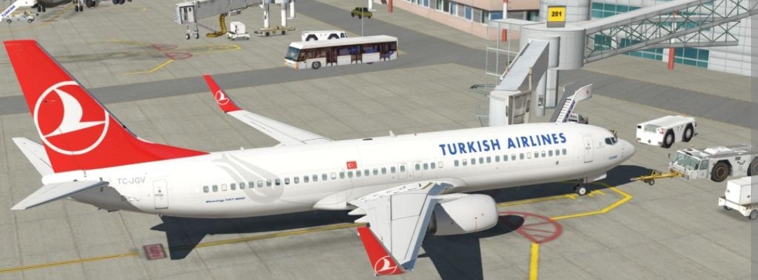 航空機・ヘリコプター TURKISH AIRLINES 1/100 B737-800 Sb0b011ae690b466a81f8b1addf502