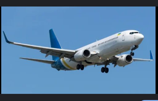 三平 ⚡JAPAN AIRLINES 4K / JA309J / ZIBO 737-800 - Aircraft Skins